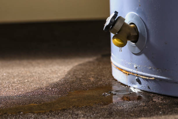 Best 24-hour water damage restoration  in Sioux City, IA