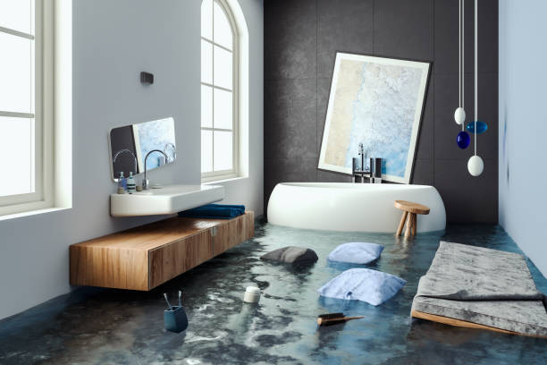 Best Water damage cleanup near me  in Sioux City, IA