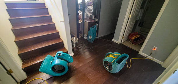 Best Basement water damage restoration  in Sioux City, IA