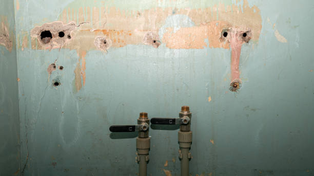 Best Fire Damage Restoration  in Sioux City, IA