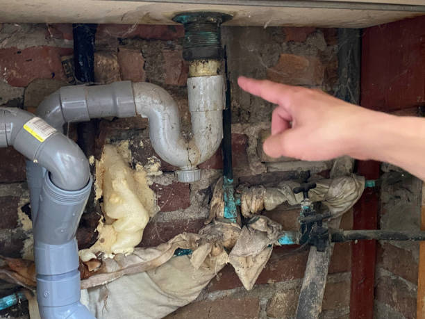 Best Flood restoration services  in Sioux City, IA