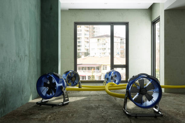 Best Water damage restoration process  in Sioux City, IA