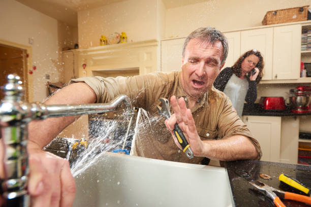 Best Fire Damage Restoration  in Sioux City, IA